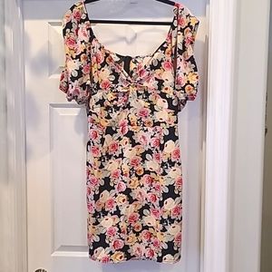 Roses Floral Dress XL